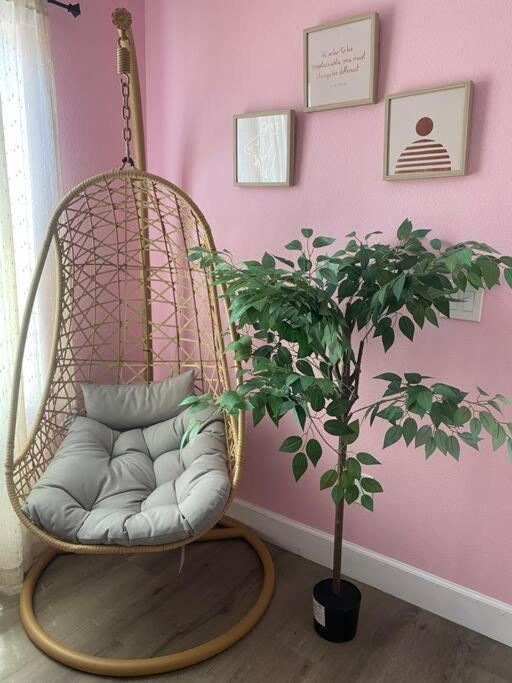 فيلا The Pink House أورلاندو المظهر الخارجي الصورة