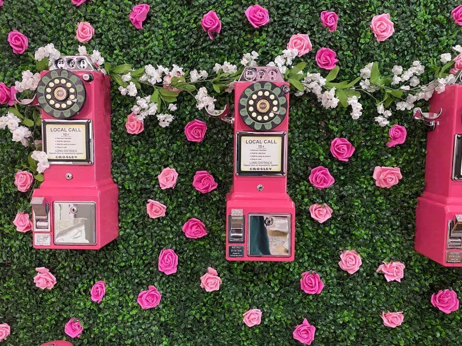 فيلا The Pink House أورلاندو المظهر الخارجي الصورة